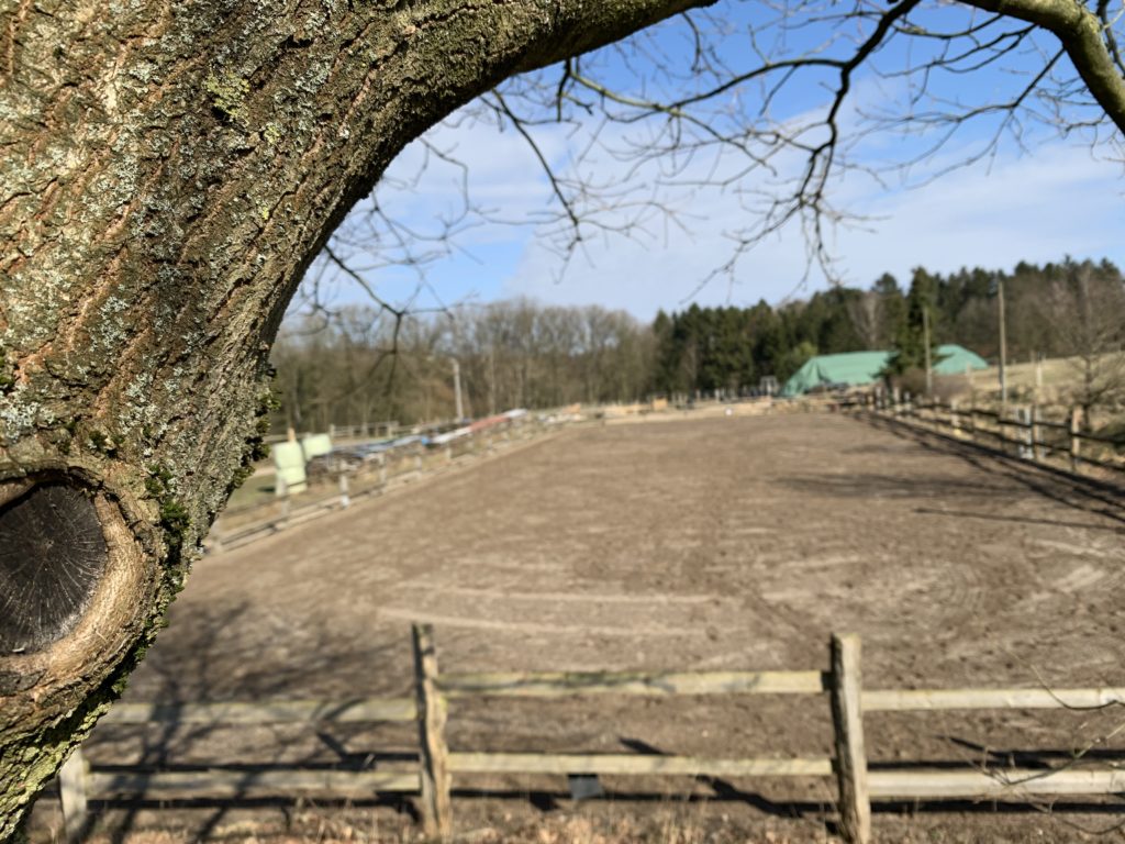 Seevehof