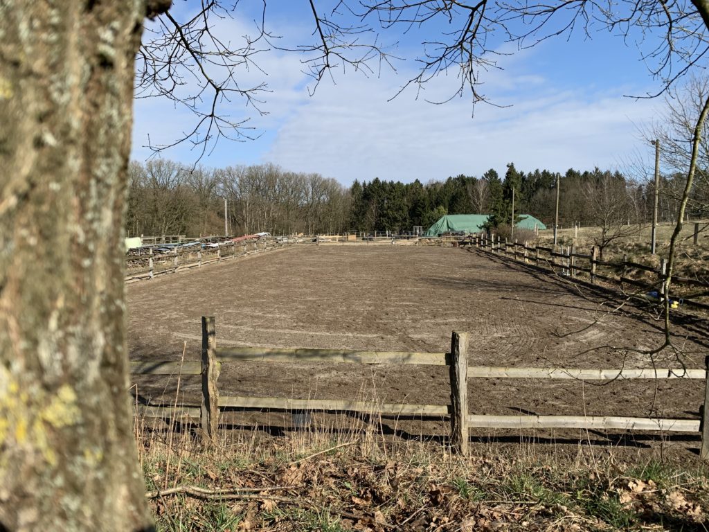 Seevehof
